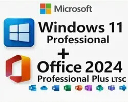 Windows 11 Pro + Office 2024 Pro Plus Key (For 1 PC)